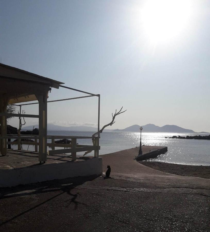 Hotel Rena Ágios Kírykos 외부 사진